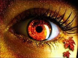 eye