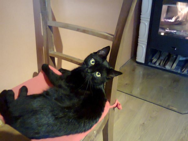 toby3